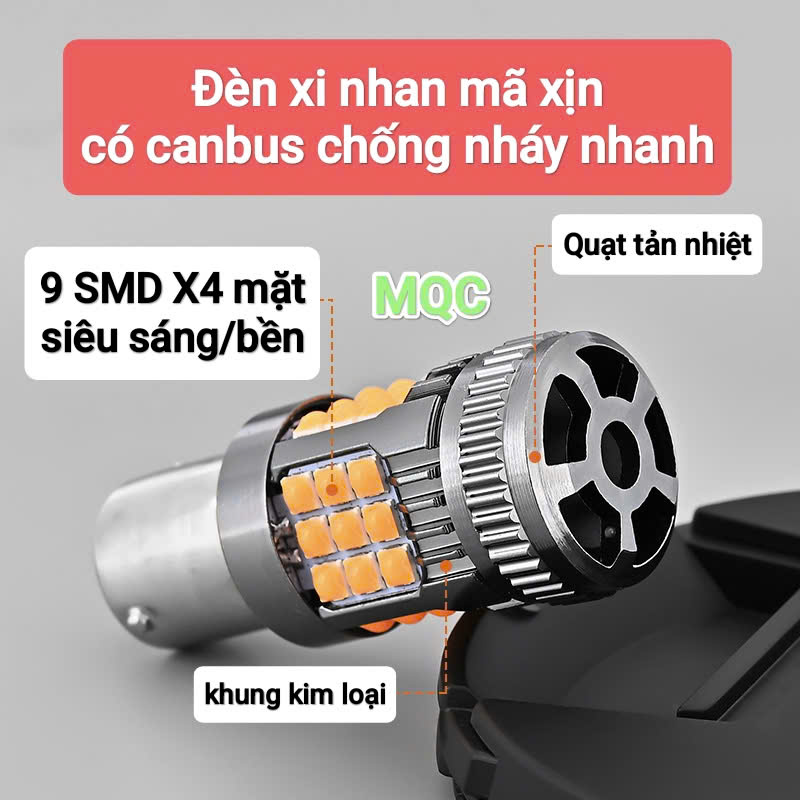 Ảnh 7
